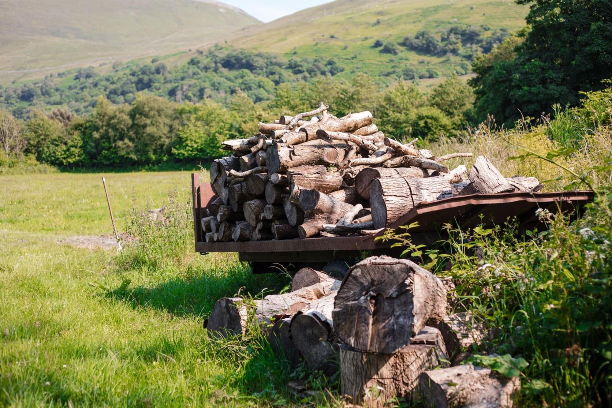 Trigonos - Quiet, Peaceful, Vegetarian B&B And Retreat Centre Nantlle Exterior photo